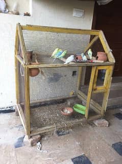 cages,budgies,finches 0