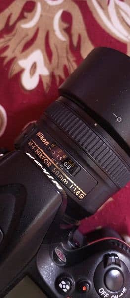 Nikon D7100 with 50 mm lens 1