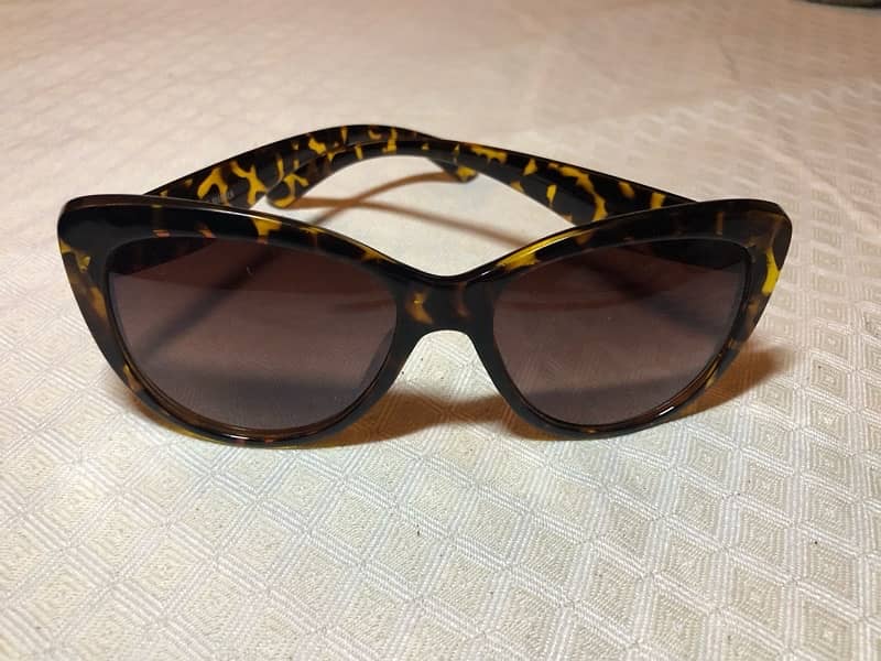 Branded Sunglasses RayBan & STEVE MADDEN 8