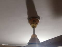 ceiling Fan pair