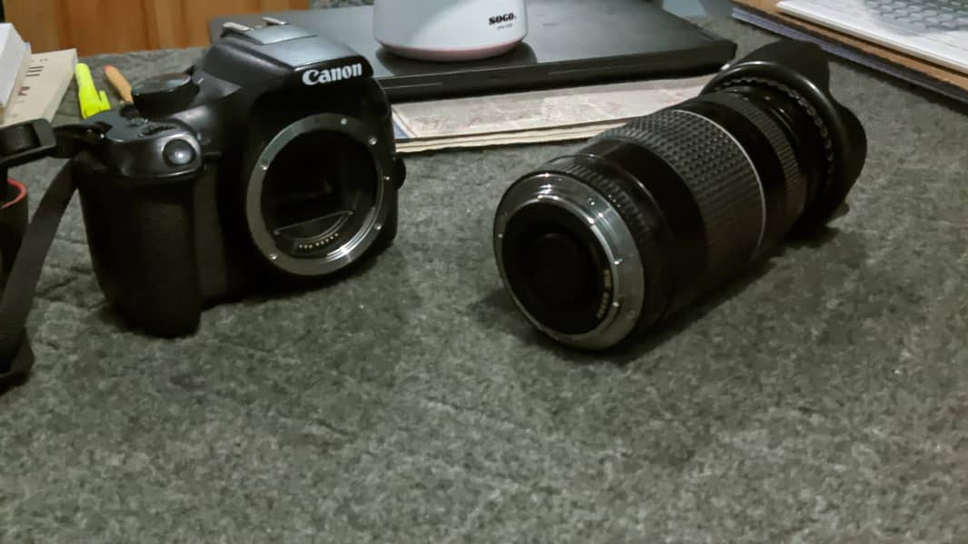 Canon 1300D. 75/300 lens 3