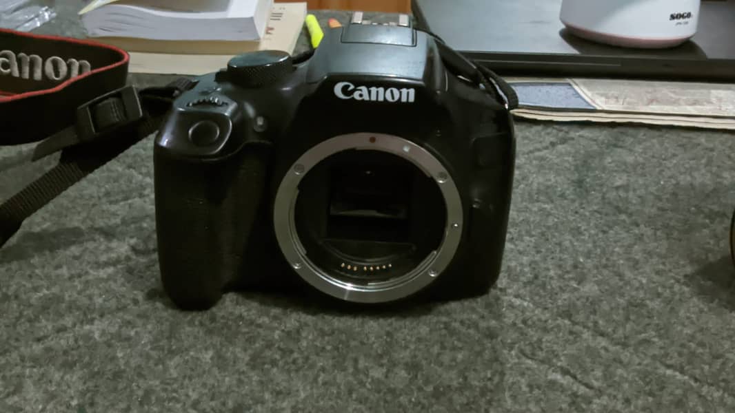 Canon 1300D. 75/300 lens 4