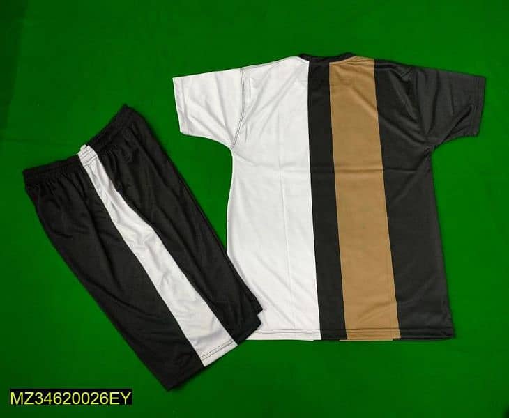 Track suit available for men (2pc) 15