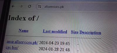 allservices. pk unique website for sale