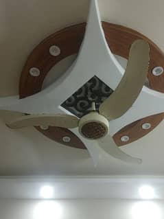 Copper Winding Sonex Fan 56" 0