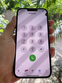 Iphone 13 pro max Factory unlock