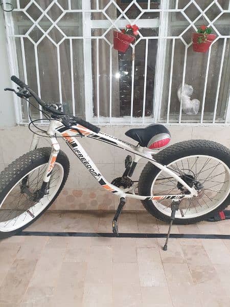 Mountain bike for sale 2