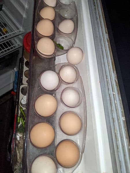 Desi Eggs Pure 0