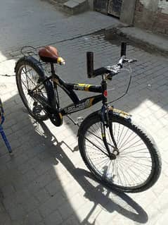 bicycle for youngestrs good condition