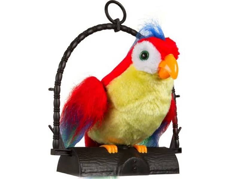 Talk back talking parrot, Beautiful toy for kids, Talking parrot 7