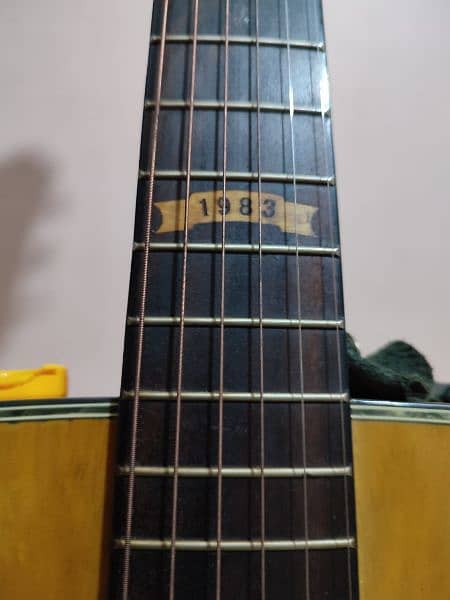 Semi Acoustic Guitar 3
