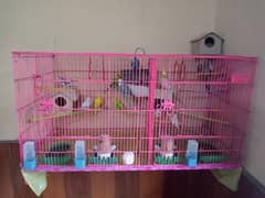 Birds with cage for sale 0