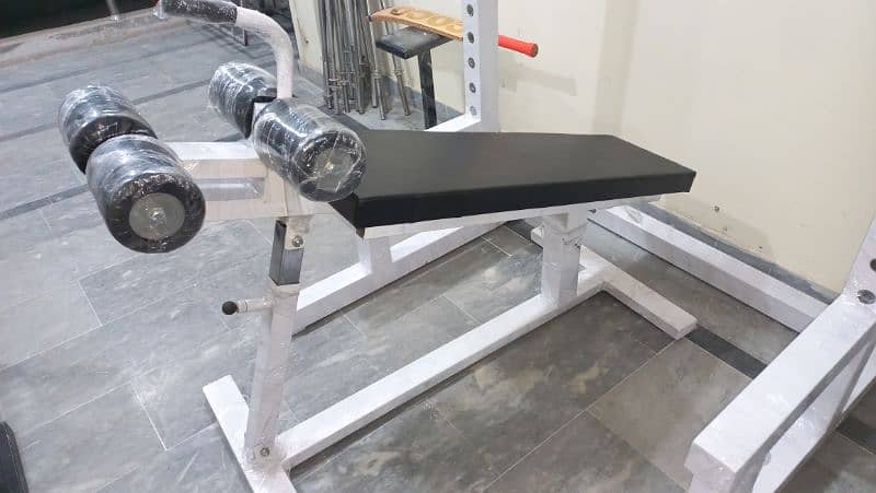 Ab king pro Multi bench press chest press dumbbells twister gym chrome 9