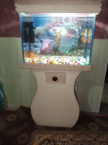 2 fit by 2 fit and Air Filter+LED goldfish pair and koi pair 6fish 0