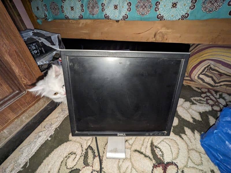 Dell 17" Flat Lcd for office and CCtv 6