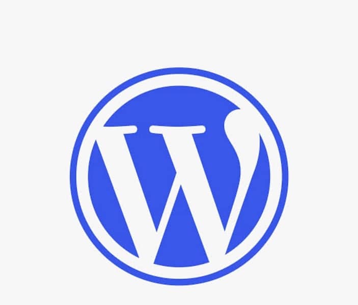 wordpress develper 0