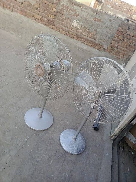 2 copper padestal fans 1