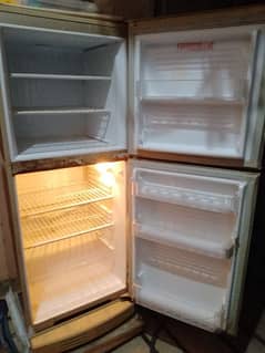 Urgent sale PEL Refrigerator medium size in 9/10 very good condition