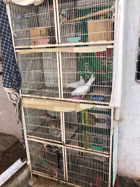 cages for sell 4