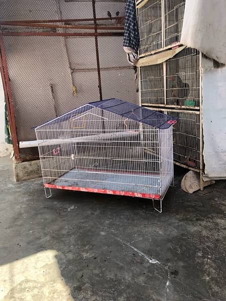 cages for sell 13