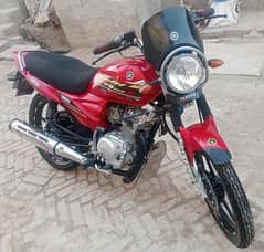 For Contact 03170867042 Condition Like New Bike