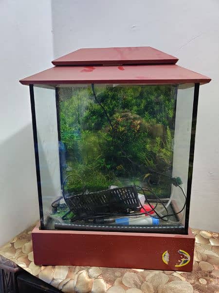 fish aquarium with pump heater and atones 0