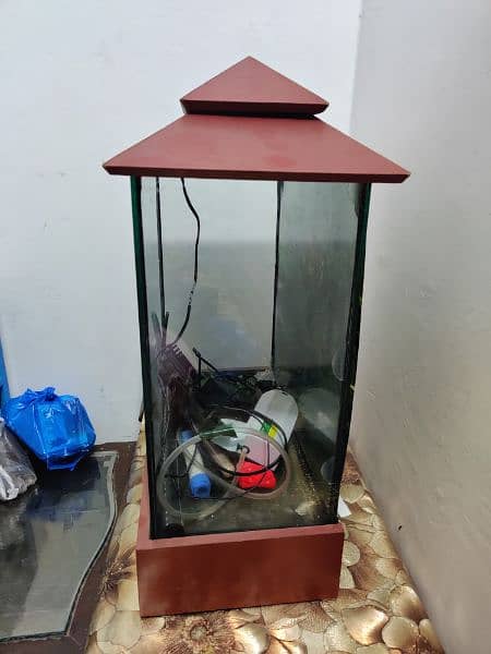 fish aquarium with pump heater and atones 1