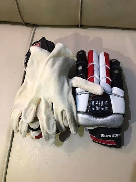 Cricket gloves 3