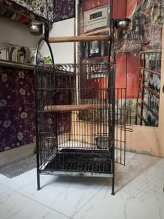 cage for parrot pinjra