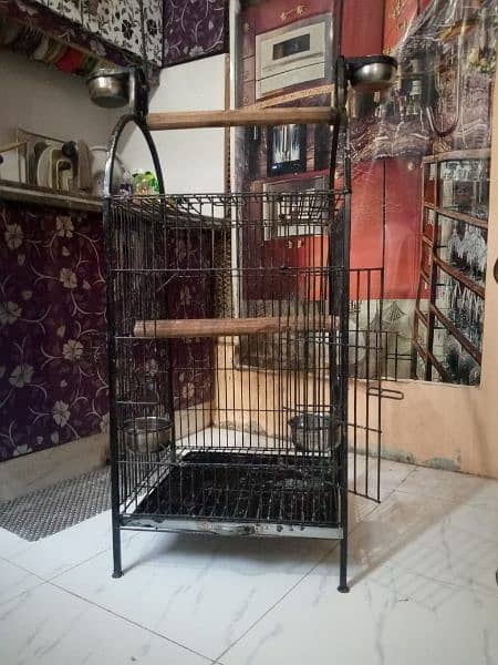 cage for parrot pinjra 0