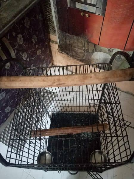 cage for parrot pinjra 1