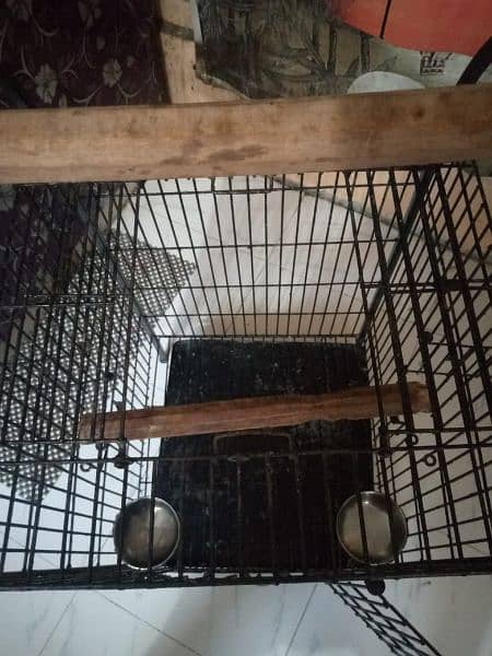 cage for parrot pinjra 2