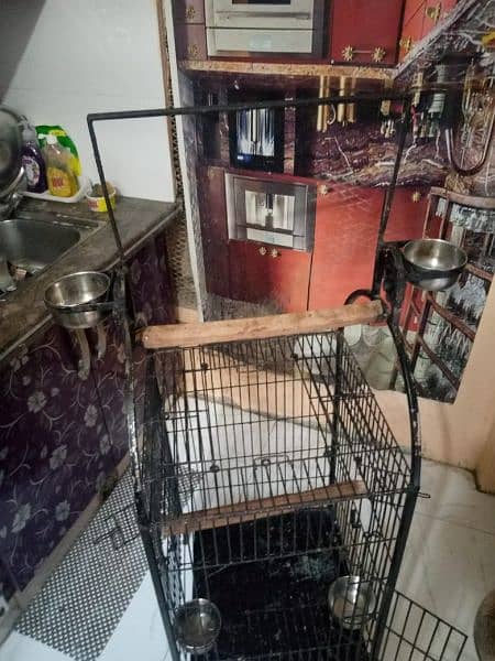cage for parrot pinjra 3