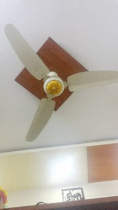 Pak Fan ceiling Fan For sale only - like New Fan condition