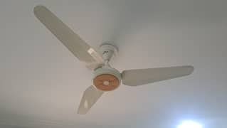 Sonex Ceiling Fan