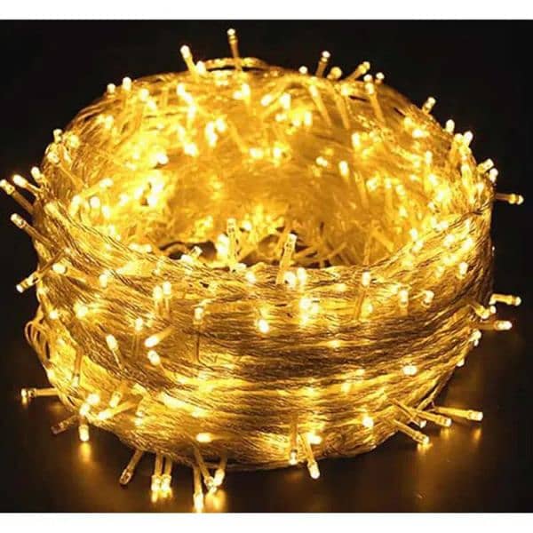 Fairy lights 20,40,60,80,100 ft available 1