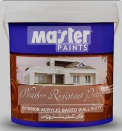 paint work / home repair Painter/ 20 year experience / expert team