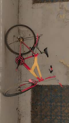 Phonex - Bicycle