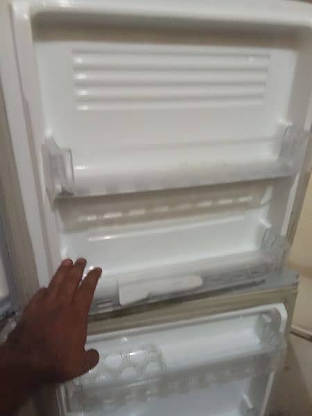pell fridge for sale 1