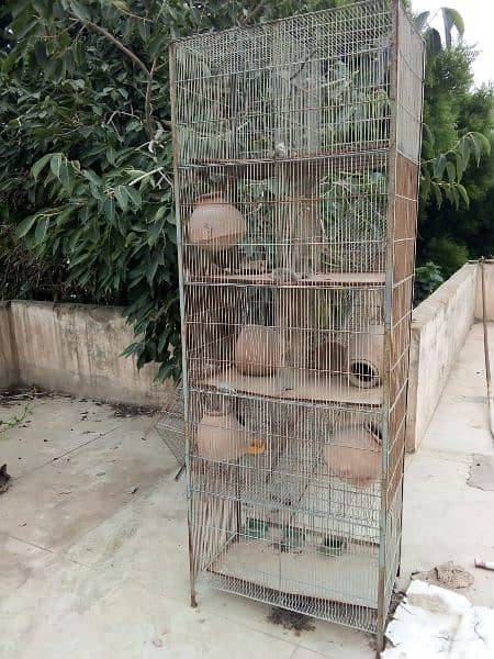 10 portions cages for sale 0