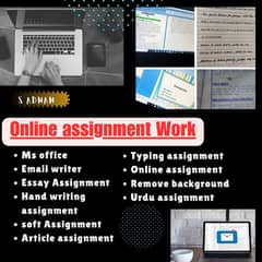 Hand writing/Ms office Assignment/Article assignment/Essay /urdu
