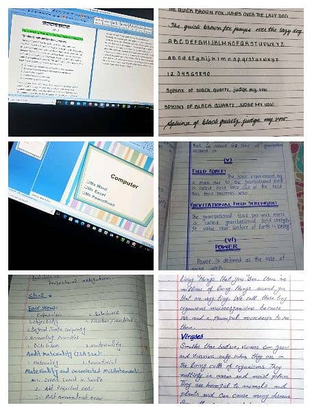 Hand writing/Ms office Assignment/Article assignment/Essay /urdu 2