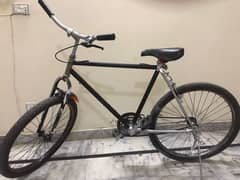 Phoenix bicycle
