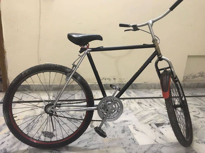 Phoenix bicycle 3