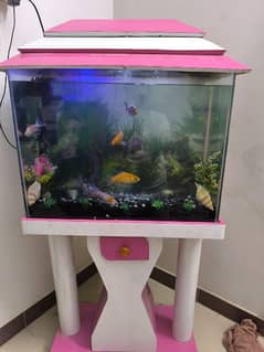 fish aquarium for sale with fishes and accessories 0
