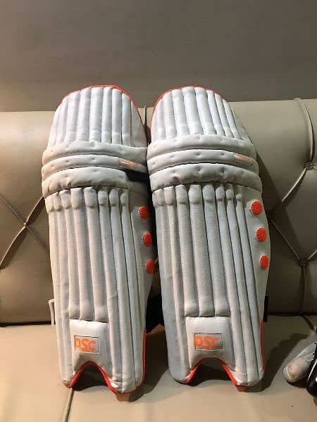 Cricket Pads with Typaid and Guard 0