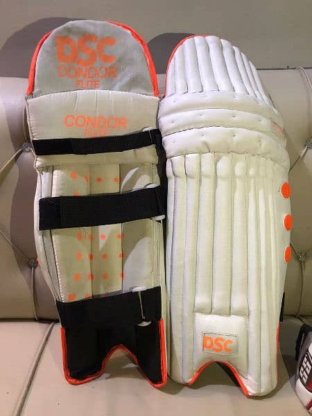 Cricket Pads with Typaid and Guard 1