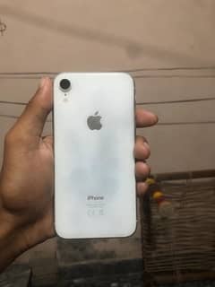 iPhone XR pta approved bh 80% all okay …. .