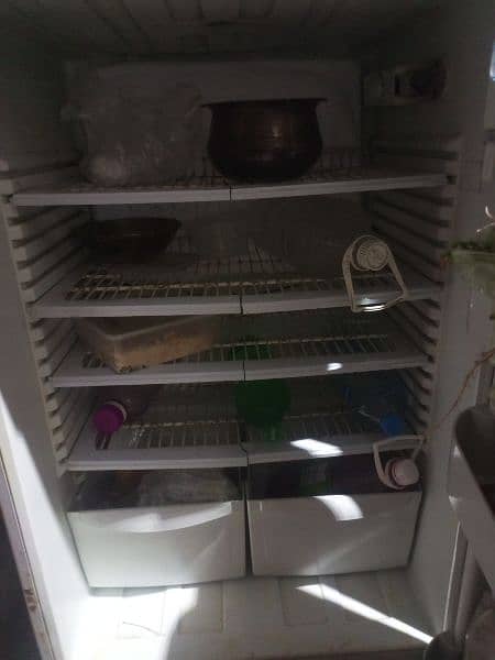 pel refrigerator full big size in a good condition 10/10 3