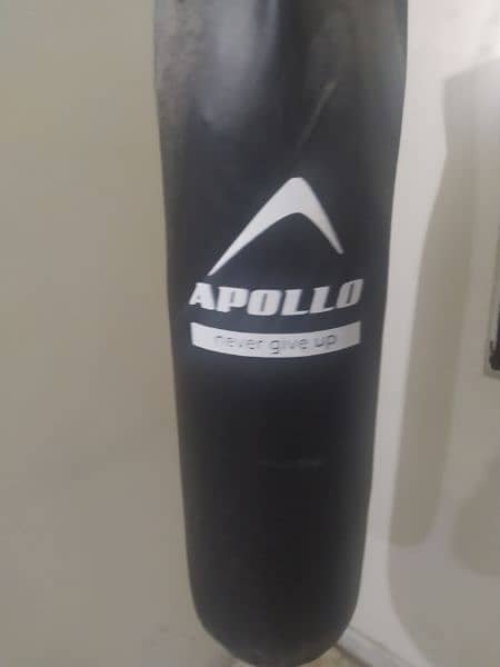 Apollo punching bag with chain 1